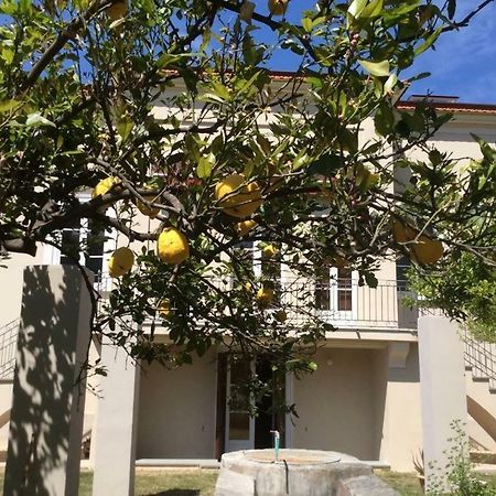 Villa Caterina Sapri Dış mekan fotoğraf